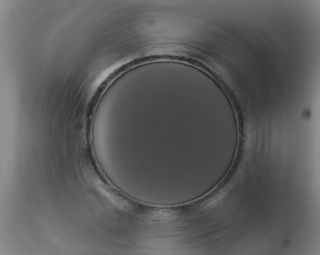 X0000112910830200909071532