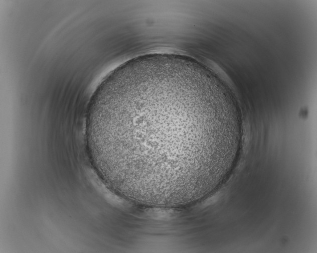 X0000112910831200909071532