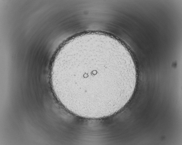 X0000112910832200909071532