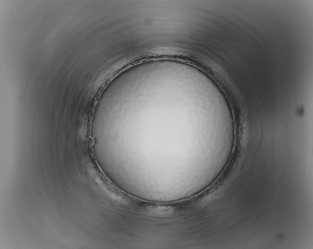 X0000112910833200909071532