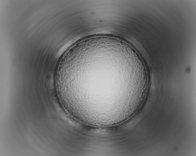 X0000112910834200909071533