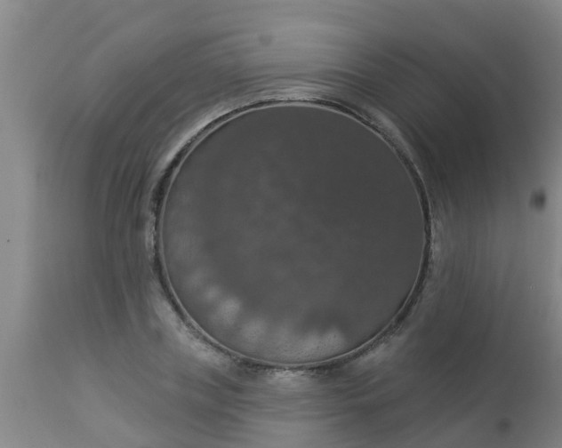 X0000112910835200909071533