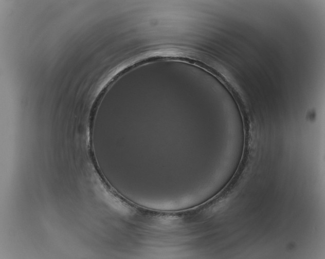 X0000112910837200909071533