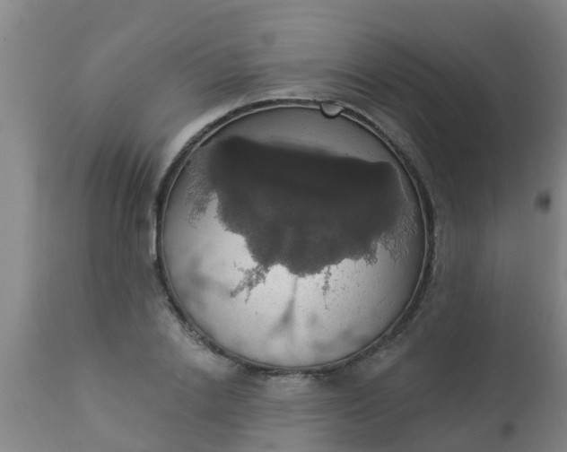 X0000112910838200909071533