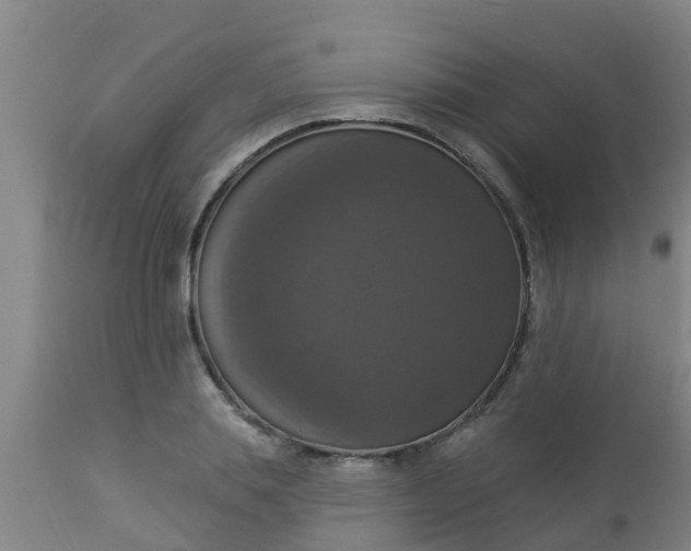 X0000112910839200909071533