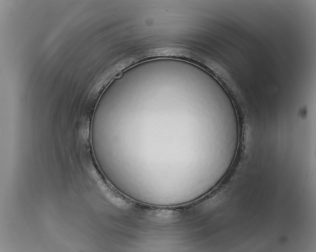 X0000112910841200909071533