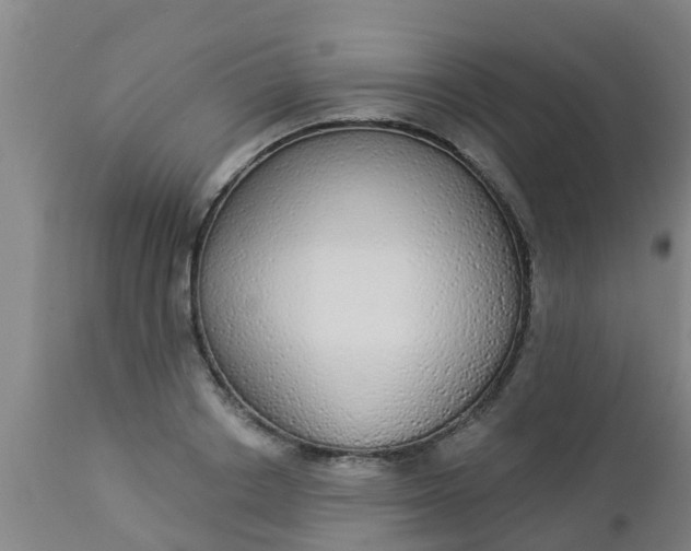 X0000112910842200909071533