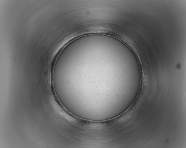 X0000112910843200909071533