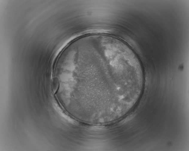 X0000112910844200909071533