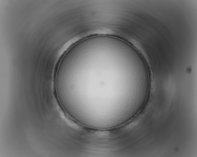 X0000112910845200909071533