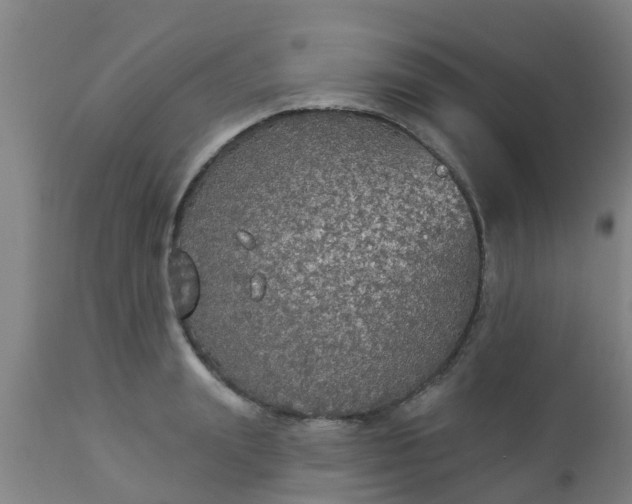 X0000112910847200909071533