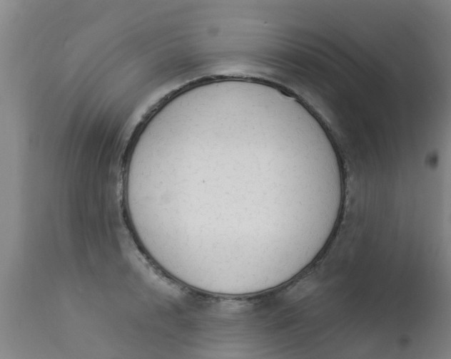 X0000112910848200909071533