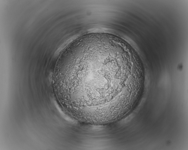 X0000112910849200909071533