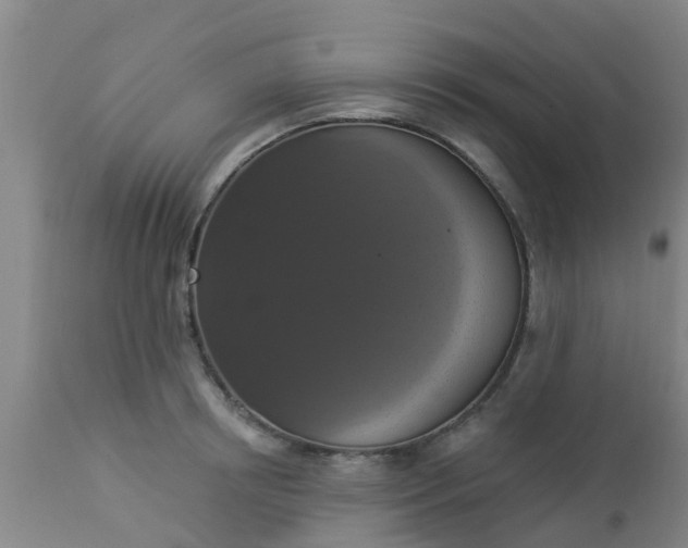 X0000112910850200909071533