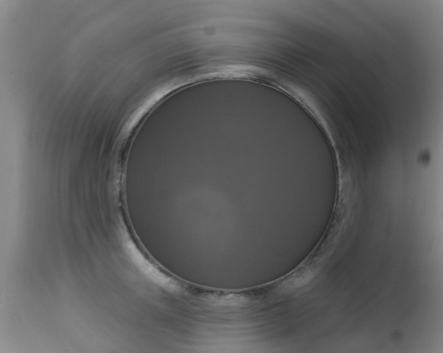 X0000112910851200909071533