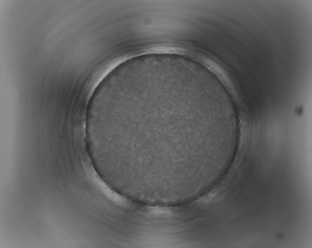 X0000112910852200909071533