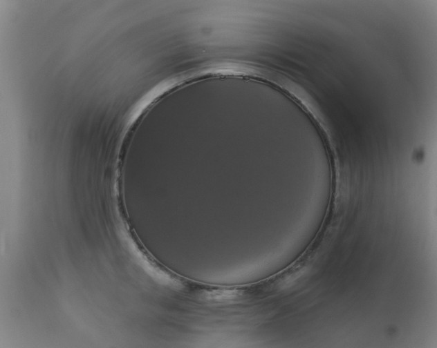 X0000112910853200909071533