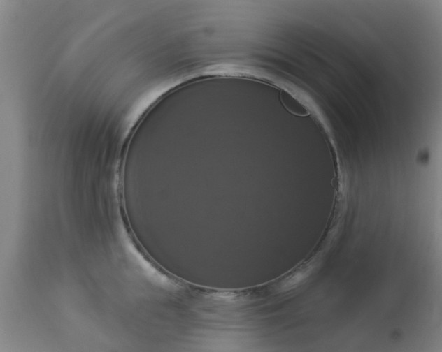 X0000112910855200909071533