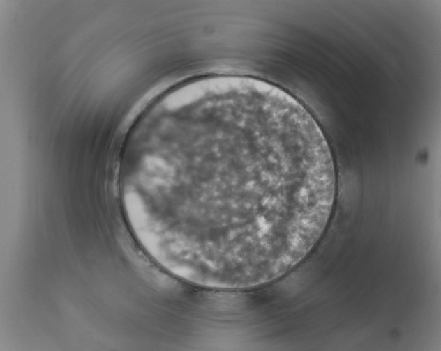 X0000112910856200909071533