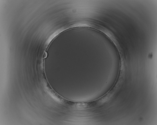 X0000112910858200909071533