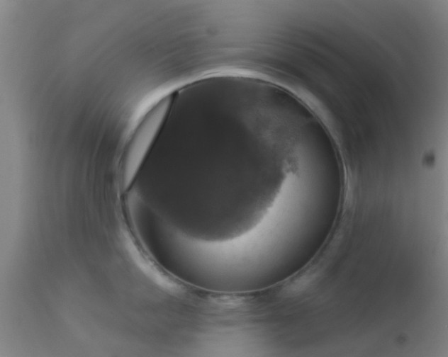 X0000112910862200909071533