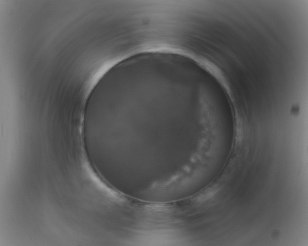 X0000112910863200909071533