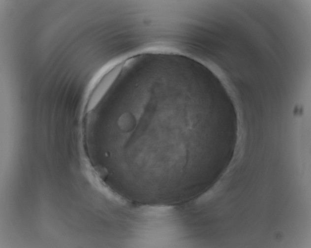 X0000112910864200909071533