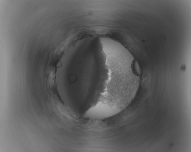 X0000112910866200909071532