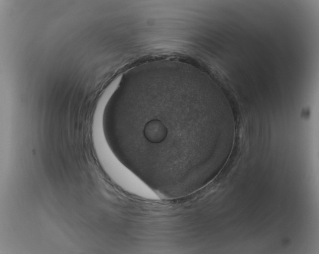 X0000112910868200909071532