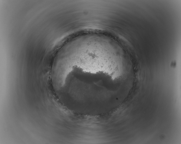 X0000112910870200909071532