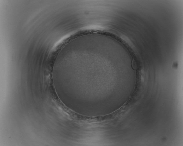 X0000112910872200909071532