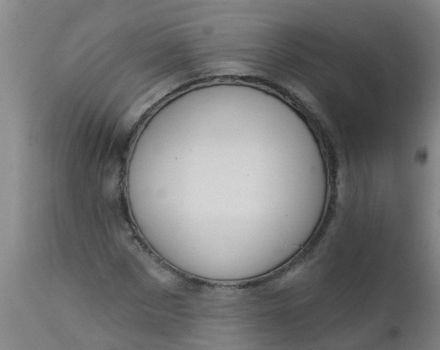 X0000112910873200909071532