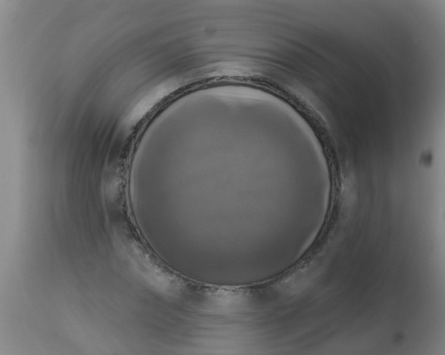 X0000112910874200909071532