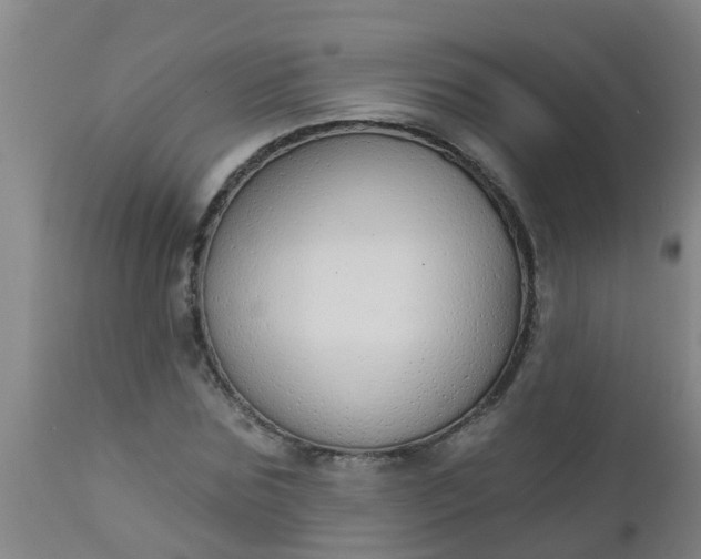 X0000112910875200909071532