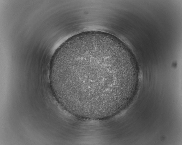 X0000112910877200909071532