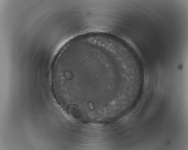 X0000112910878200909071532