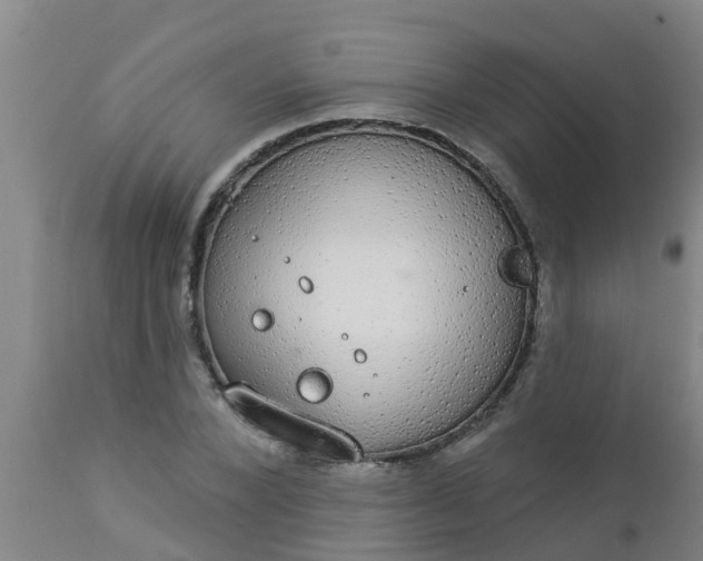 X0000112910880200909071532