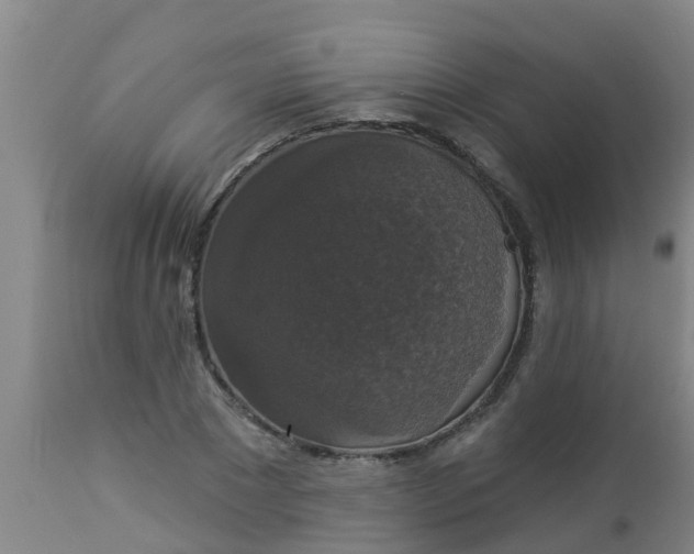 X0000112910881200909071532