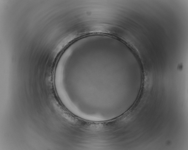 X0000112910882200909071532