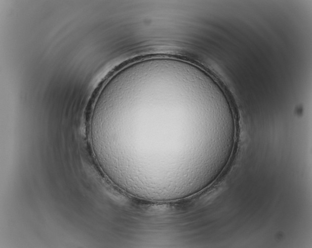 X0000112910883200909071532