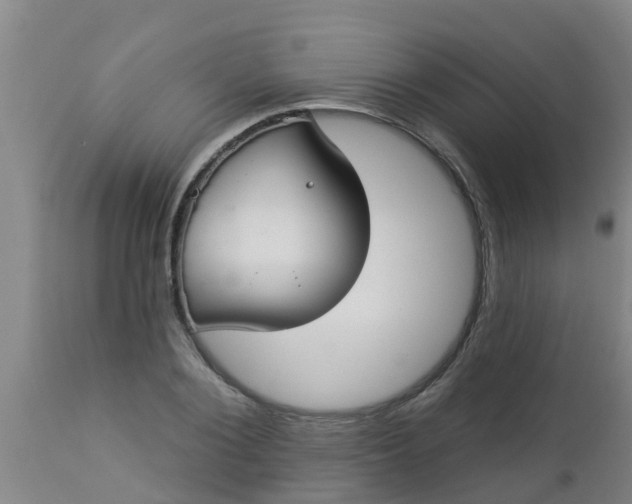 X0000112910884200909071532