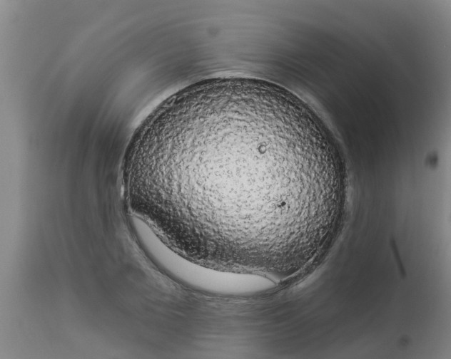 X0000112910885200909071532