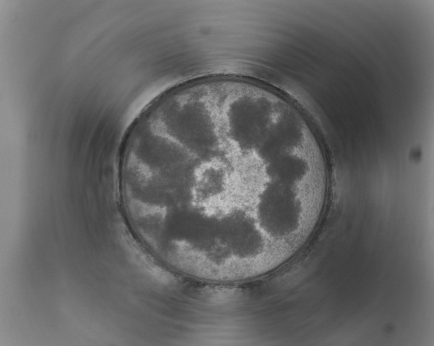 X0000112910886200909071532