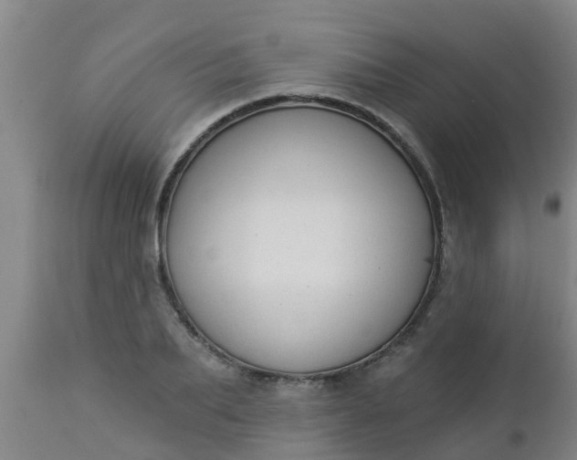 X0000112910887200909071532