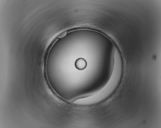 X0000112910888200909071532