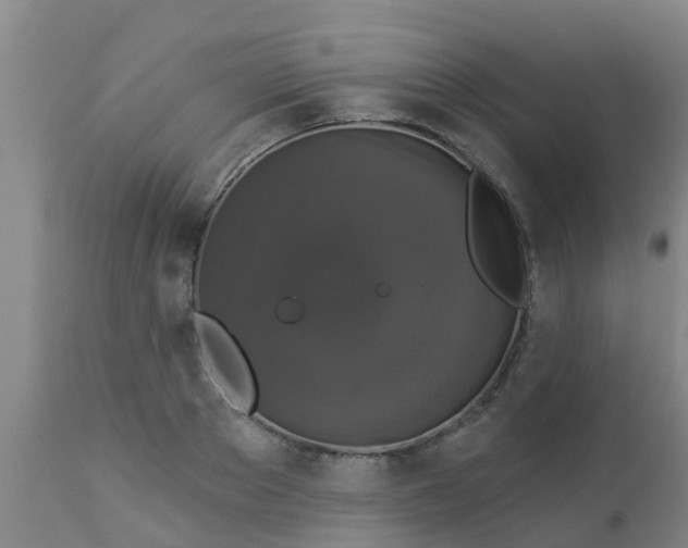 X0000112910889200909071532