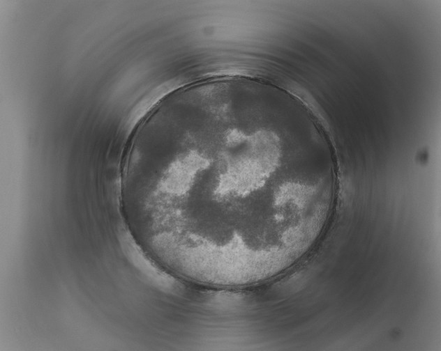 X0000112910890200909071532