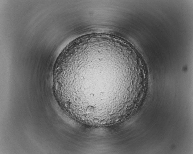 X0000112910891200909071532