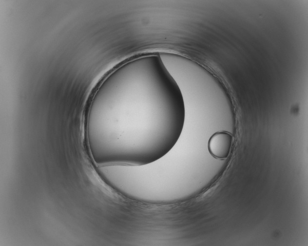 X0000112910892200909071532