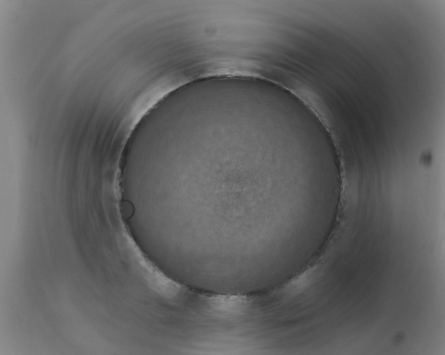 X0000112910893200909071532